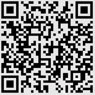 摇钱树10码期期必中