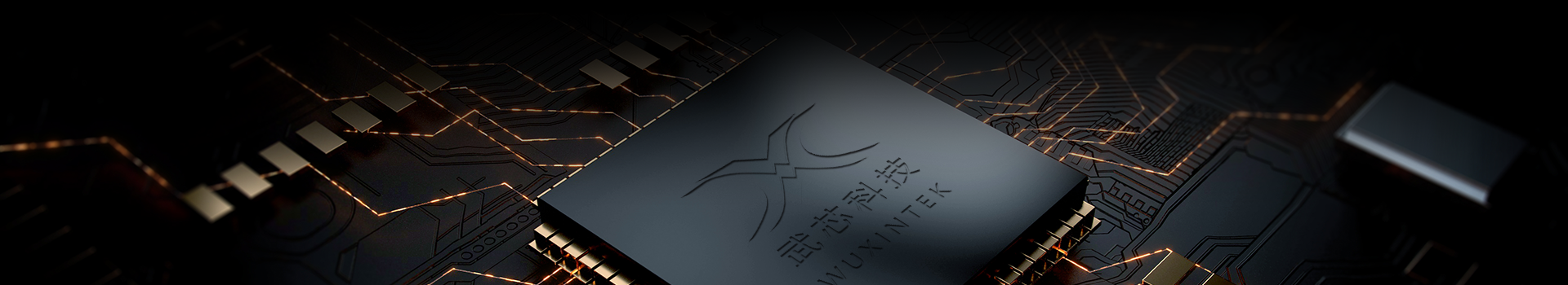 摇钱树10码期期必中