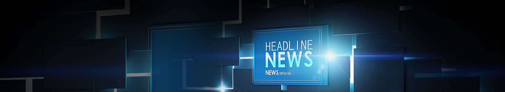 摇钱树10码期期必中