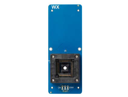 摇钱树10码期期必中