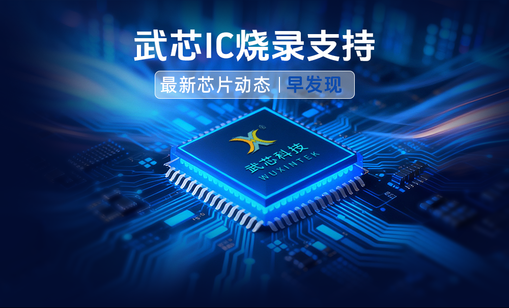 摇钱树10码期期必中